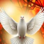Vision of freedom international church of God
